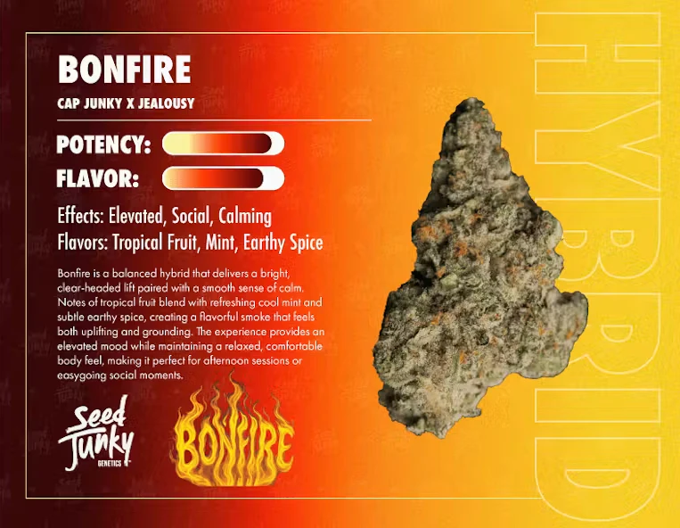 Seed Junky - Seed Junky - Hybrid - Bonfire Indoor - (3.5g) Main Image