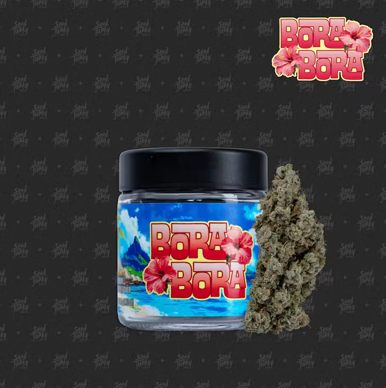 Seed Junky - Seed Junky - Hybrid - Bora Bora Indoor - (3.5g) Main Image