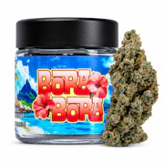 Seed Junky Genetics - 7g Bigs - Bora Bora