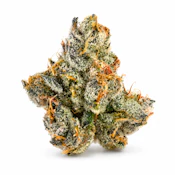 Bosky | Exotics | Bolo Runtz | 7g