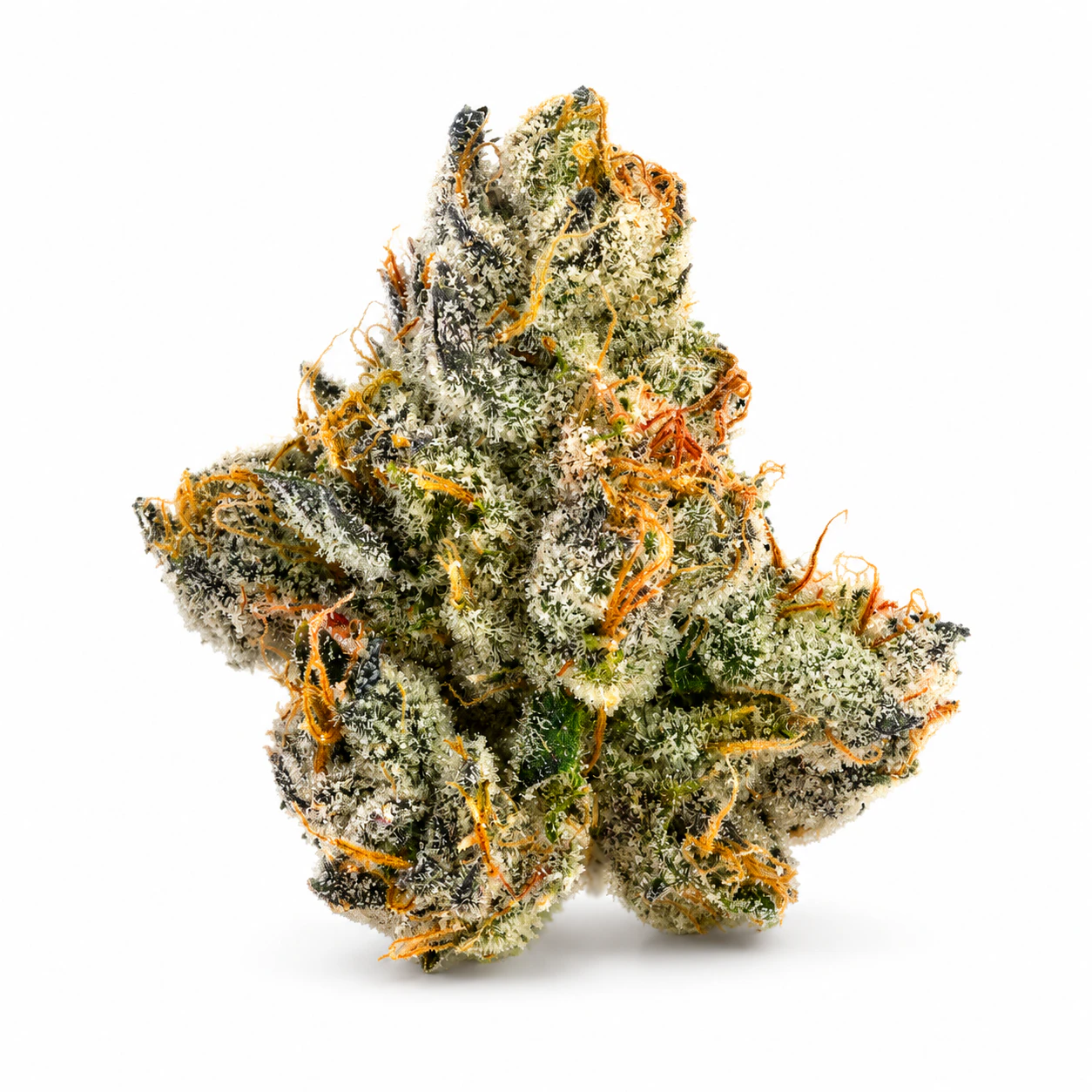 Bosky Genetics - Bosky | Exotics | Bolo Runtz | 14g Main Image