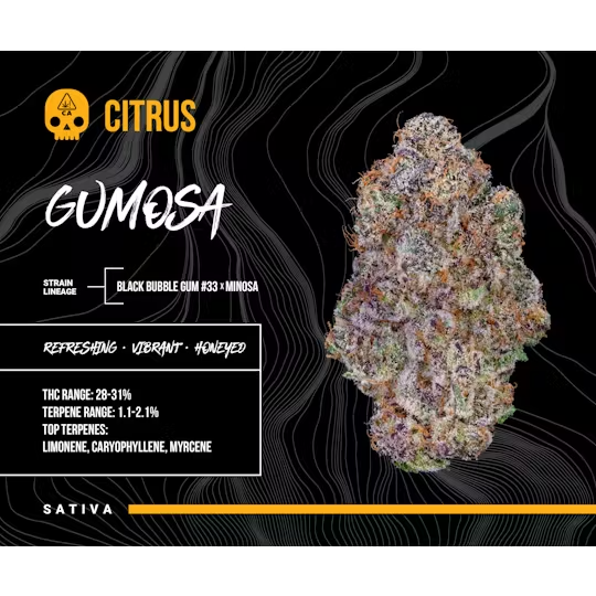 Bosky | Gumosa | 1g