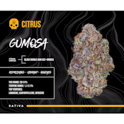 Bosky | Gumosa | 3.5g