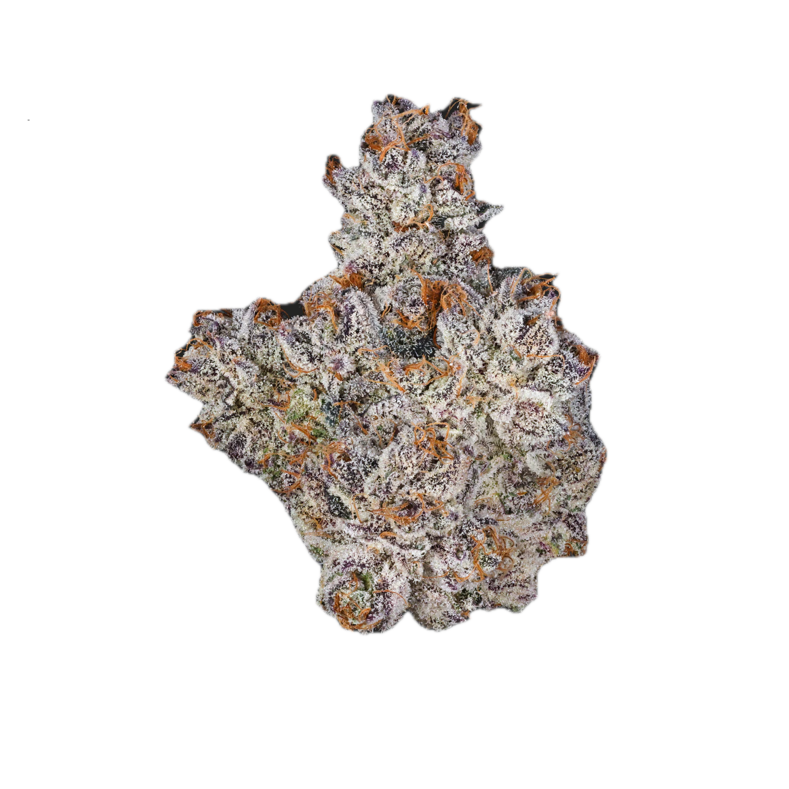 Bosky Genetics - Bosky | Purps | LA Pop Rocks x Purple Push Pop | 7g Main Image