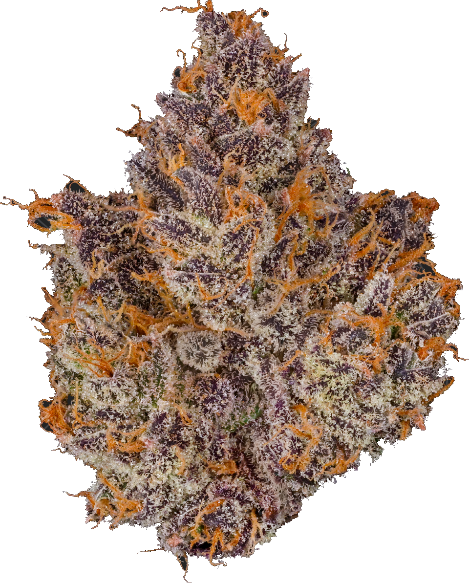 Bosky | Citrus | Orange Starburst | 14g
