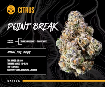 Point Break - 3.5 g