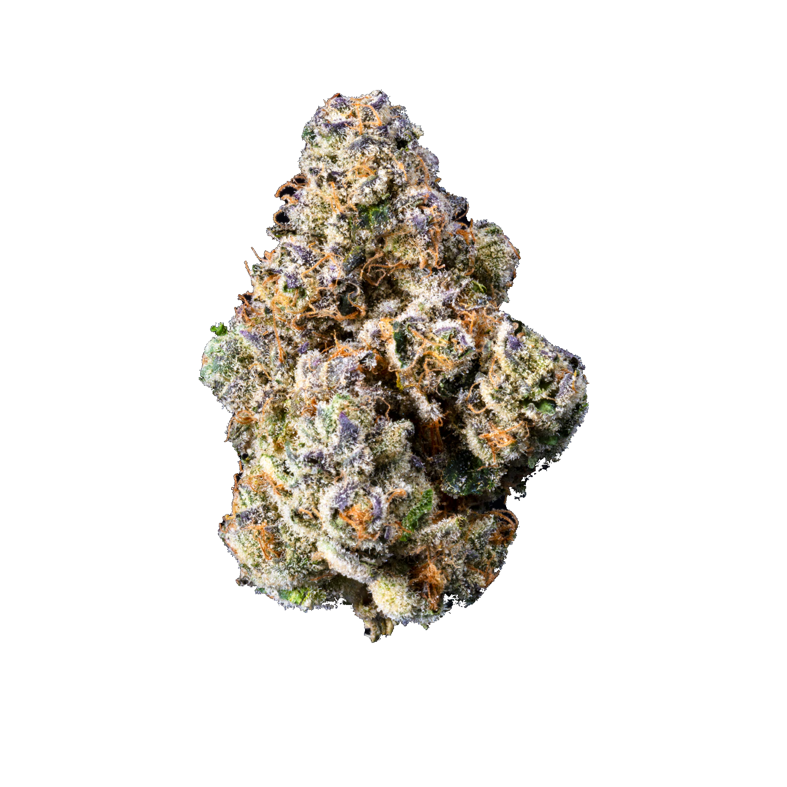 Bosky Genetics - Bosky | Point Break | 3.5g Main Image