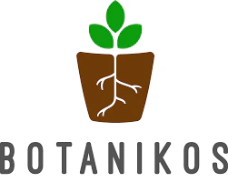 BOTANIKOS - Dirty Zotti 7 by Botanikos Main Image