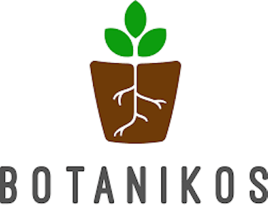 Botanikos - Randy Marsh By Botanikos