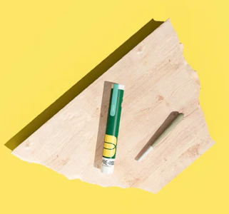 Botanist - Chem Chillz Pre-Roll - 1g