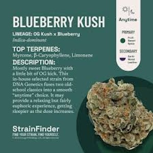 The Botanist - Blueberry Kush | Preroll | 1g (The Botanist)