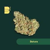 Datura | Flower | 14g (The Botanist)