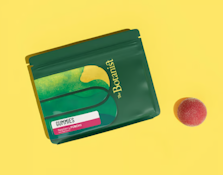 Raspberry Punch!! 1pk Gummies - 50mg