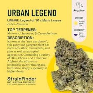 The Botanist - Urban Legend | Flower | 14g (The Botanist)