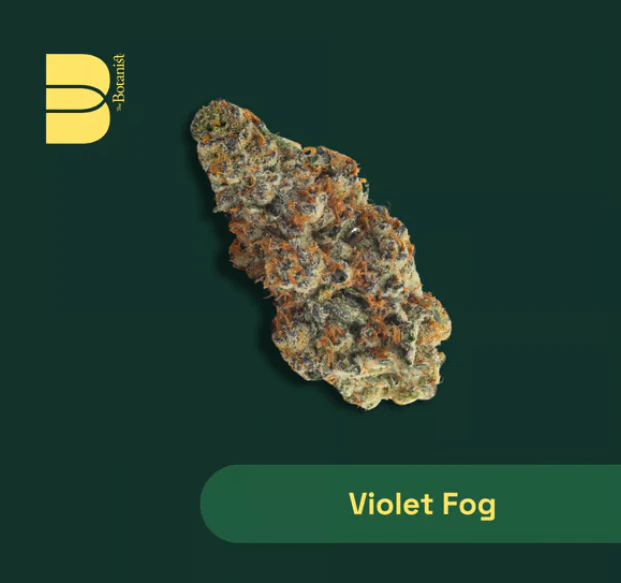 The Botanist - Violet Fog Flower - 14g Main Image