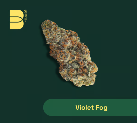 Violet Fog Flower - 28g