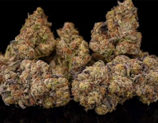Boulder Built - Prepacked Eighth - Pink Animal Mints - 3.5g