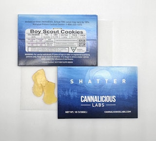 Alien Apple Kush Shatter 1g