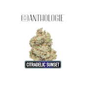 Anthologie Citradelic Sunset 1g Preroll