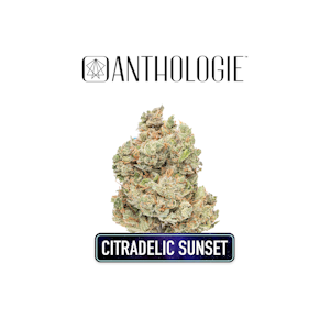 ANTHOLOGIE - Citradelic Sunset 3.5g