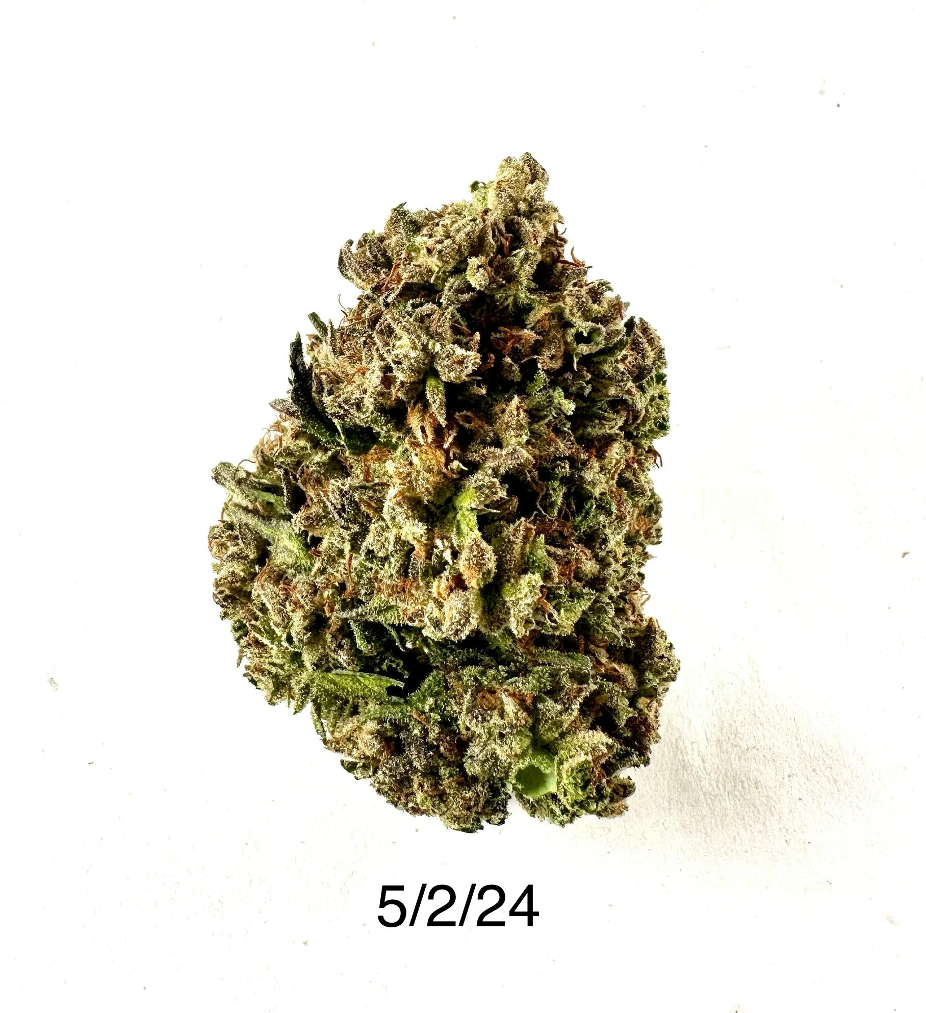Deep Sky Cannabis LLC - HDH - Brain Dropz (outdoor) Main Image