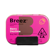 Breez - 100mg Mint - Berry Daytime