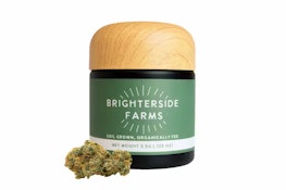Brighterside | Flower | Cream Cake | 3.5g