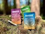 BRITE - Sherb Cream Pie Liquid Resin Cartridge (1g)