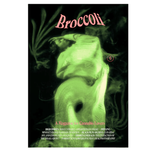 High Seas - Broccoli Magazine Issue 17 - Book - Accessories