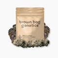 Brown Bag Genetics: Push Pop 3.5g
