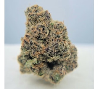 THE HEMPIRE COLLECTIVE - THC | Presidential Runtz