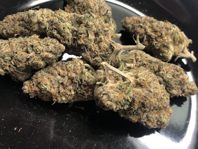 CALYXEUM - CALYXEUM | Bubblegum Gelato