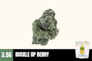 3.5g Buckle Up Berry (Greenhouse Smalls) - Humble Root