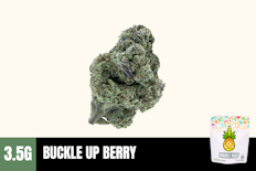 3.5g Buckle Up Berry (Greenhouse Smalls) - Humble Root