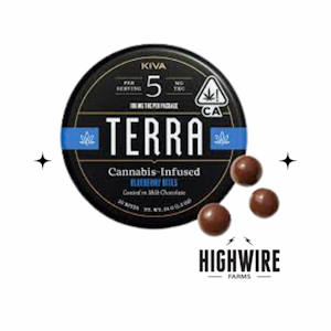 TERRA - Terra Bites Blueberry 100mg