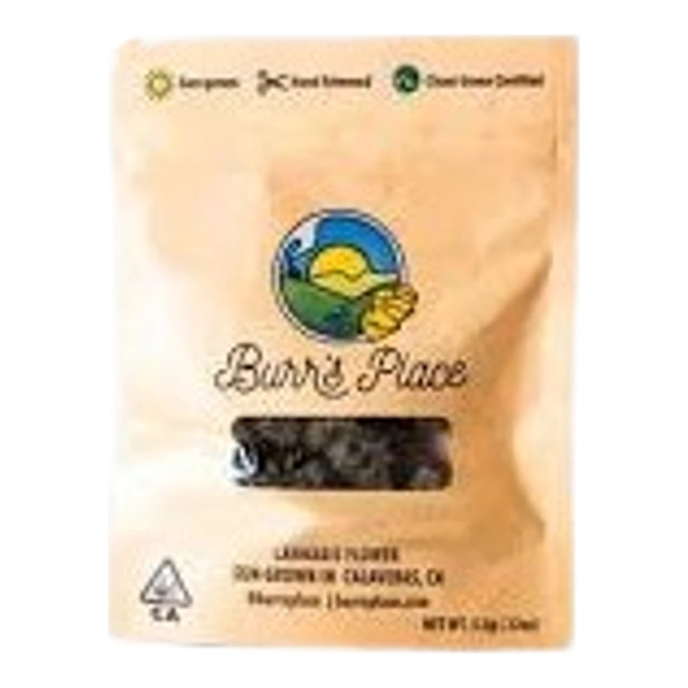 Burr's Place - Burr's Place | Macaroon | Sungrown Flower | 1/8oz Main Image