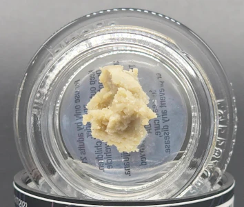 DECIBEL FARMS - Bussin' Muffins, Live Rosin