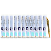 Bundle: Platinum Haze Preroll (10g)