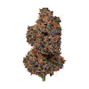 BLACK WIDOW - TURNTABLES SUPREME SHELF FLOWER 3.5G