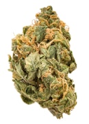 Pruf Cultivar Kaizen