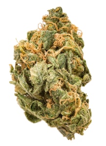 Pruf Cultivar - Pruf Cultivar Kaizen