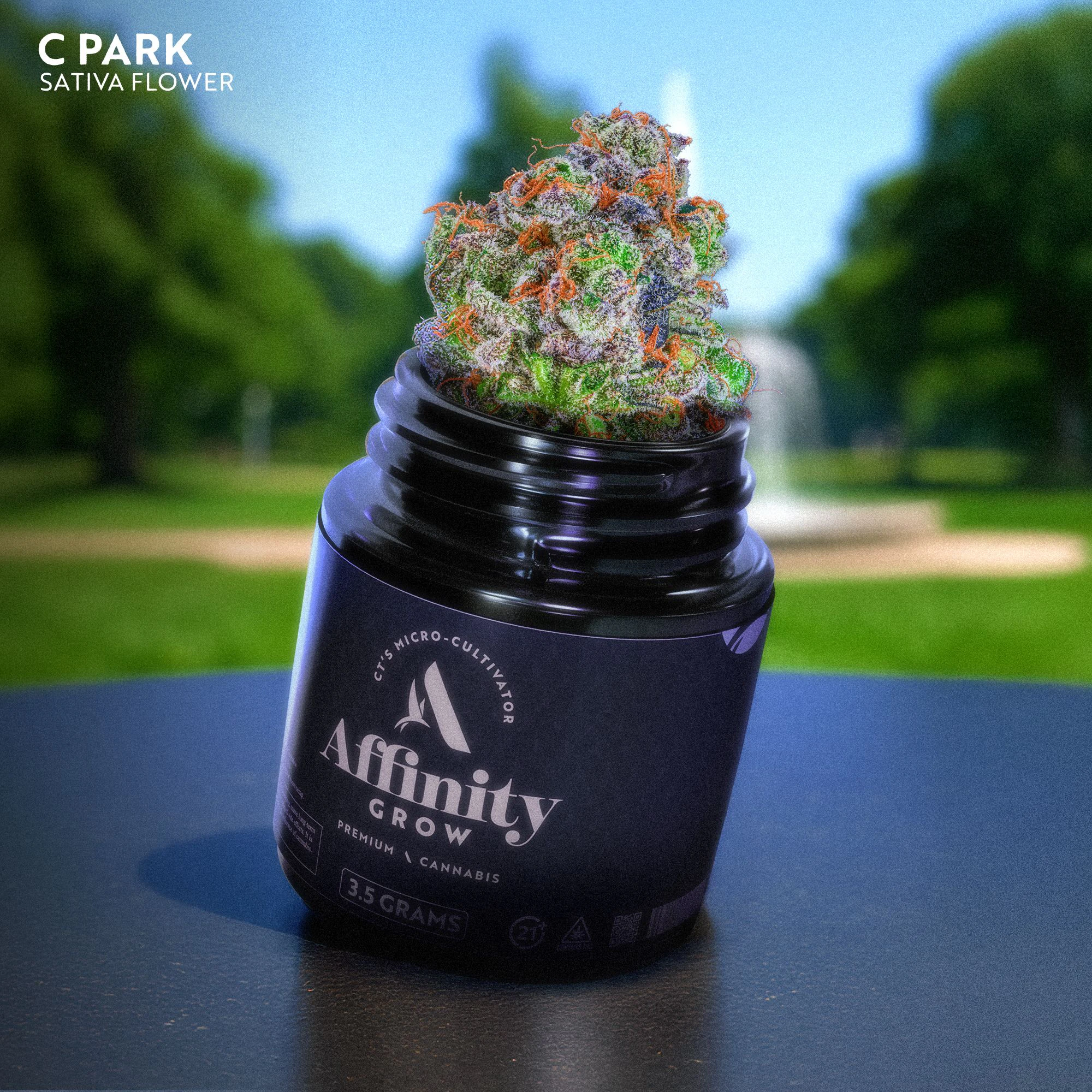 AFFINITY - Affinity C Park Flower T21.41% S 00686 Main Image