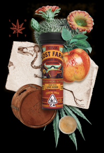 LOST FARM - Cinnamon Apple (Live Resin Infused) Gummies - 100mg (H) - Lost Farms