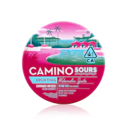 Kiva Camino Gummies Sour Watermelon Spritz