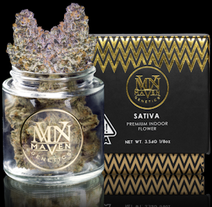 MAVEN GENETICS - Key Lime Jack - 3.5g (S) - Maven