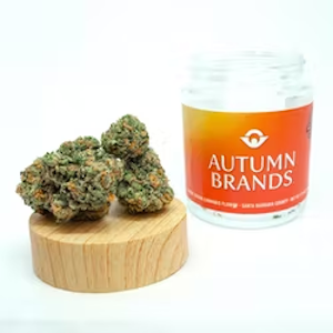 Autumn Brands - Autumn Brands 3.5g Dream Walker $30