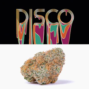 cookies - [MED] Cookies| Disco | 7g Flower