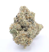 Pacific Frost White Truffle