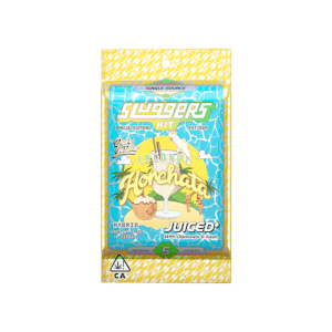 HIT SLUGGERS -  5pk - Coconut Horchata - 3.5g (H) - Sluggers X Dubs Garden