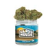 Glass House - Flower - Moltisanti - 3.5g